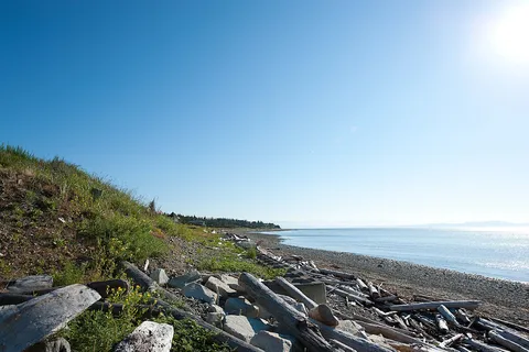 Cape Lazo Campground and RV