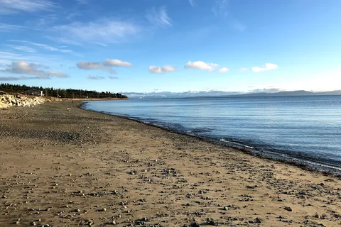 Cape Lazo Campground and RV