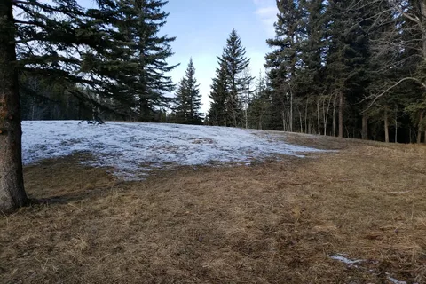 Fisher Creek Provincial Recreational Area