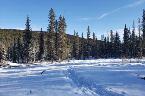 Fisher Creek Provincial Recreational Area