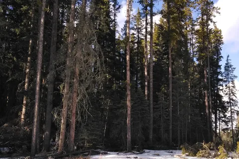 Fisher Creek Provincial Recreational Area