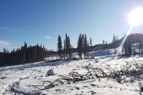 Fisher Creek Provincial Recreational Area