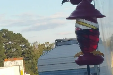 Mr D's RV Park
