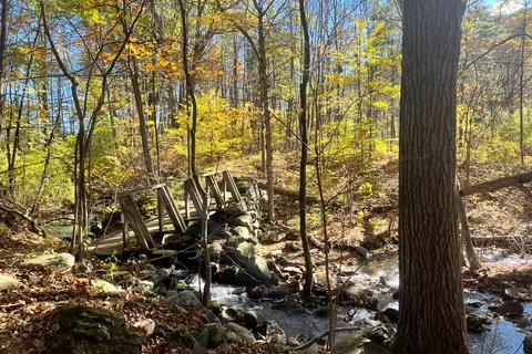 October Mountain State Forest
