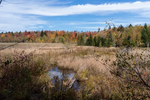 October Mountain State Forest