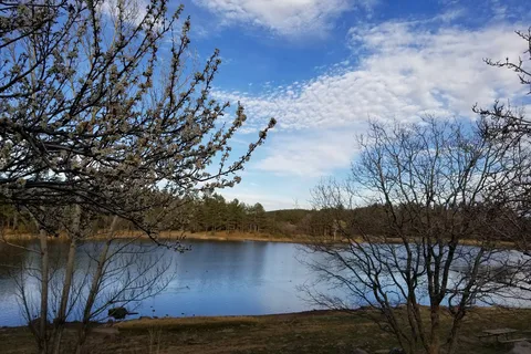 Pinezanita RV Park and Campgrounds