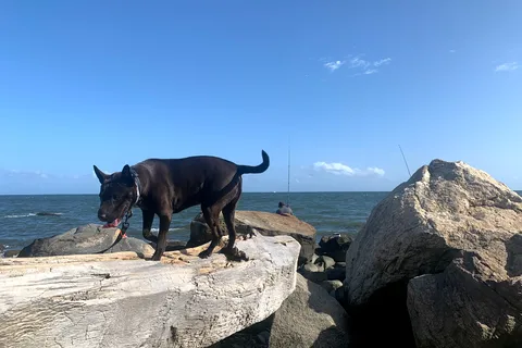 Hammonasset Beach State Park