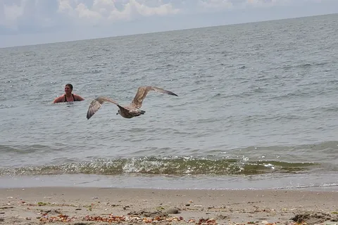 Hammonasset Beach State Park