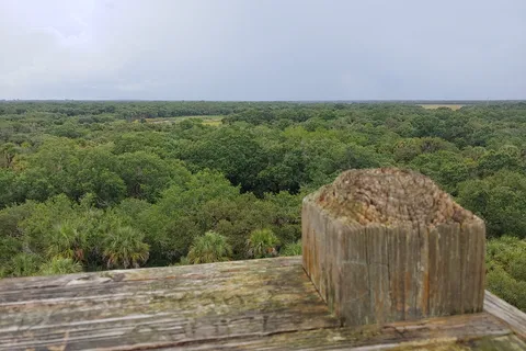 Big Flats - Myakka River State Park