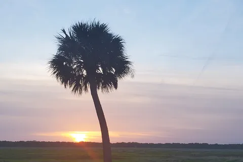 Big Flats - Myakka River State Park