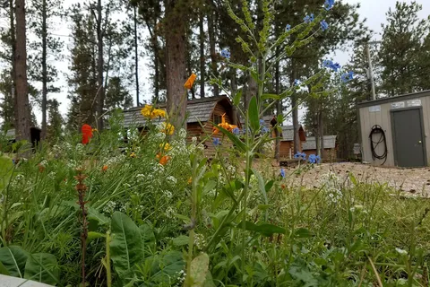 Custer/Mt. Rushmore/Black Hills KOA Holiday