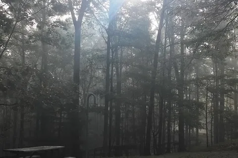 Station Horse Camp - Big South Fork Natural Reserve RA