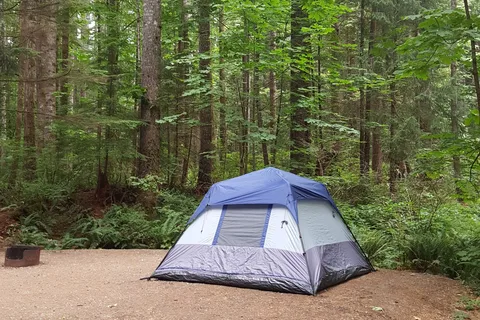 Quinsam - Elk Falls Provincial Park