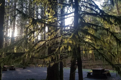 Quinsam - Elk Falls Provincial Park