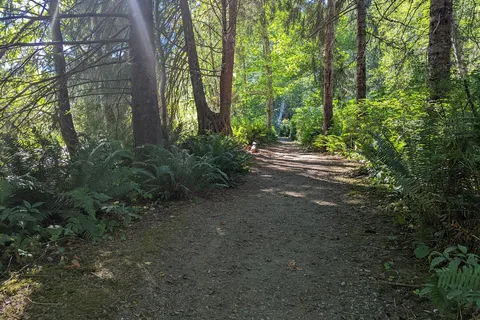 Quinsam - Elk Falls Provincial Park