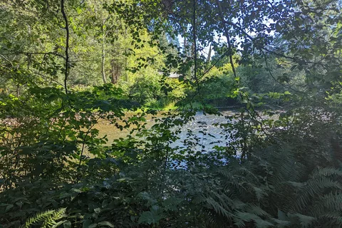 Quinsam - Elk Falls Provincial Park