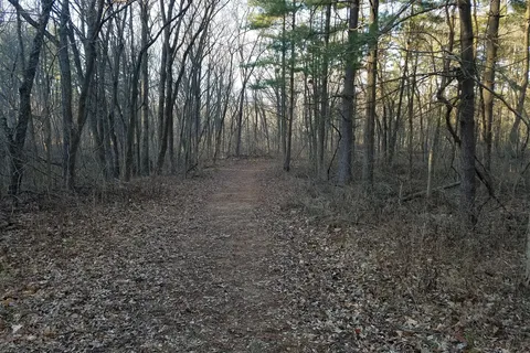 Hidden Springs State Forest