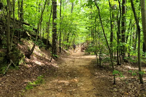 Paris Mountain State Park