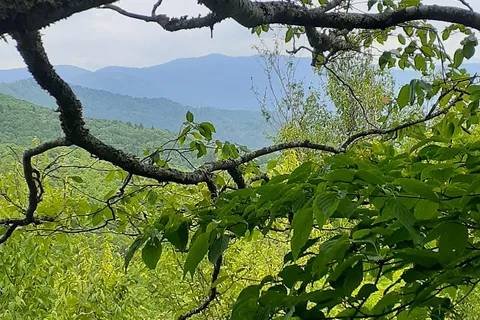 Mt Pisgah Campground - Blue Ridge Parkway National Park