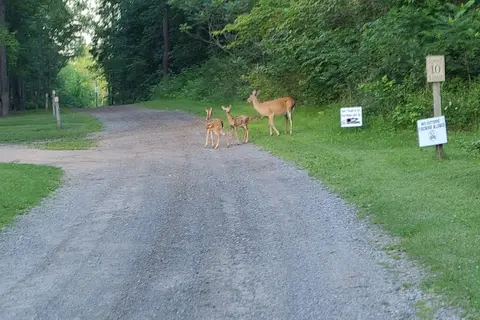 The Lost Oaks Campground