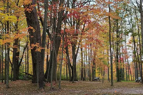 The Lost Oaks Campground