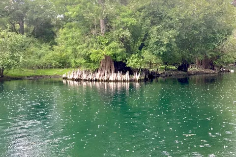 Otter Springs Resort Inc