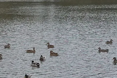 Cutty's Des Moines Camping Club