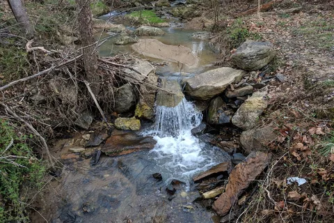 French Broad River Campground