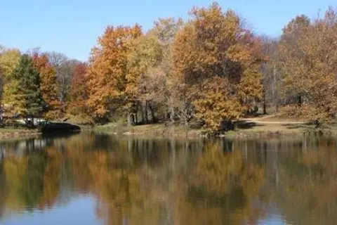 Timber Lake Resort and Campground