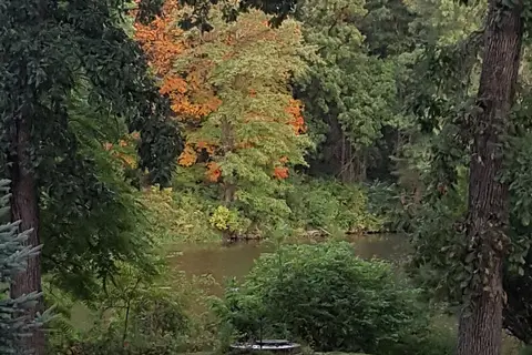 Timber Lake Resort and Campground