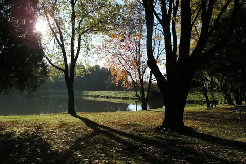 Timber Lake Resort and Campground