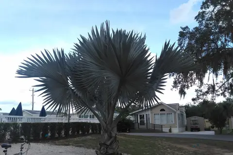 Lake Josephine RV Resort