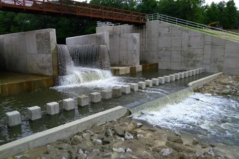 Mt Gilead State Park