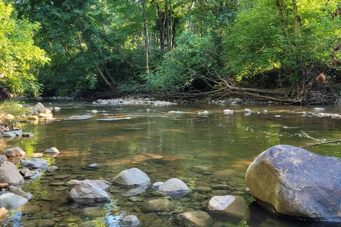 Mt Gilead State Park
