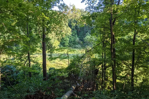 Mt Gilead State Park