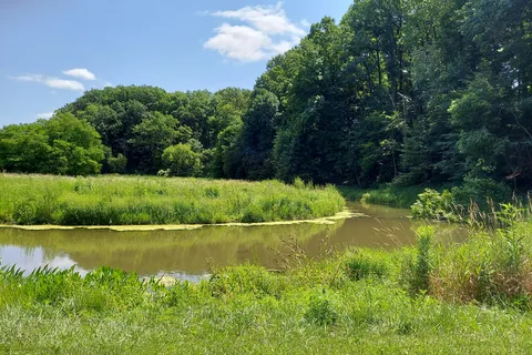 Mt Gilead State Park