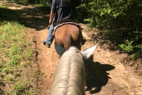 Equestrian - Bogue Chitto State Park