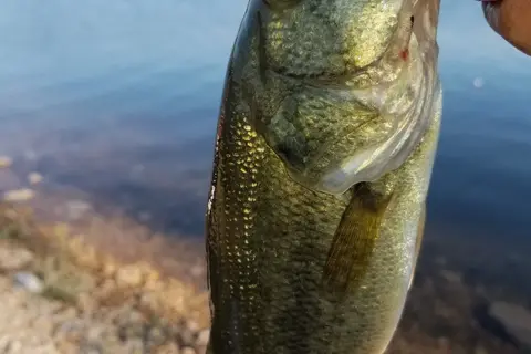 Woodson State Fishing Lake