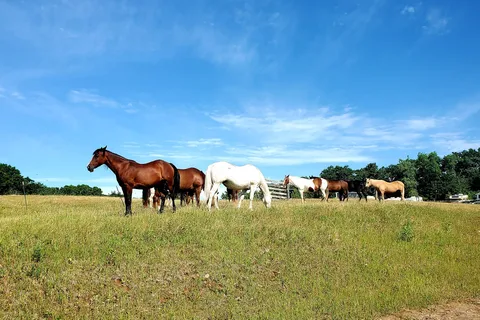 El Rancho Manana Campground