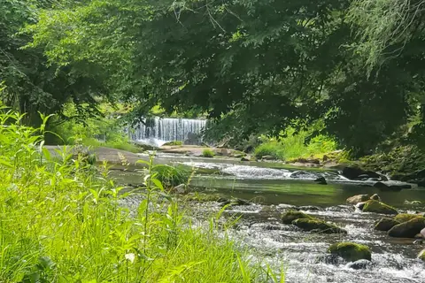 At The Ridge Campground and RV Park