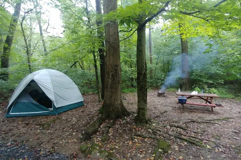 Pinch Pond Family Campground