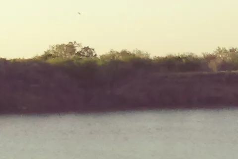 Diving Dolphins RV Park