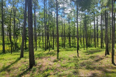 Falling Waters State Park Campground
