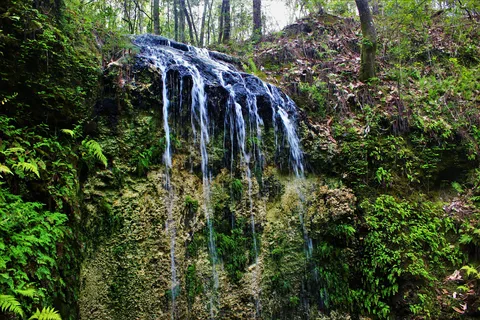 Falling Waters State Park Campground