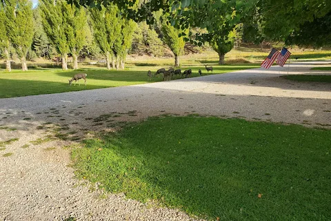 Deer Springs RV Resort