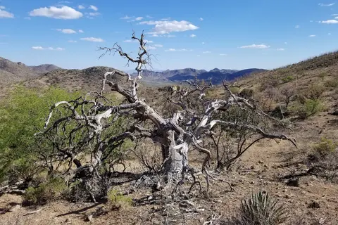 Patagonia RV Park