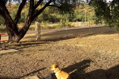 Patagonia RV Park