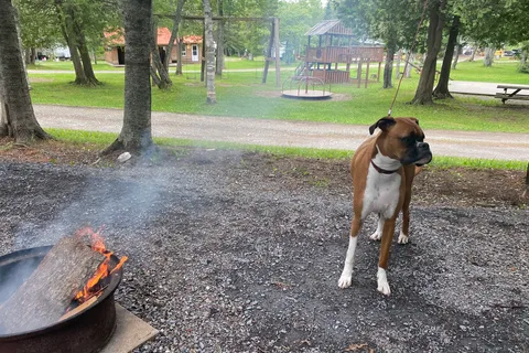 Mulherins Campground