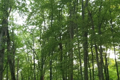Twin Acres Campground