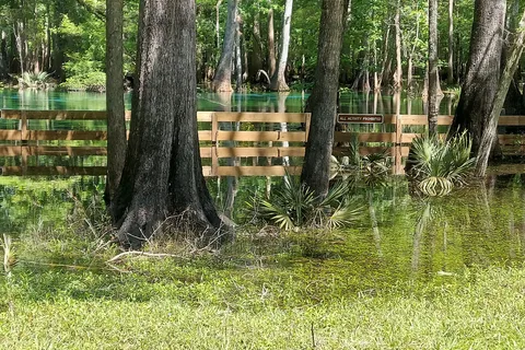 Gilchrist Blue Springs State Park